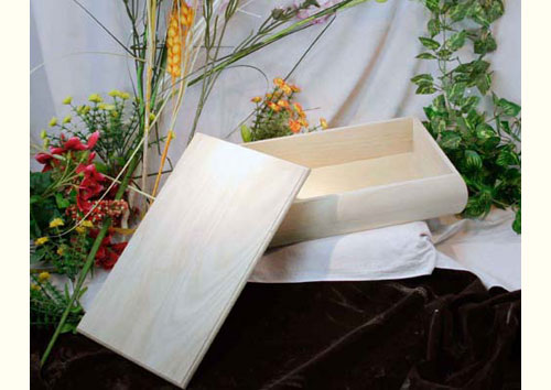 Packaging box