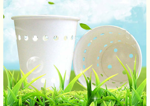 Paper cup