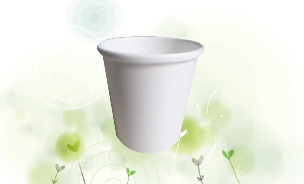 480ml soup cup