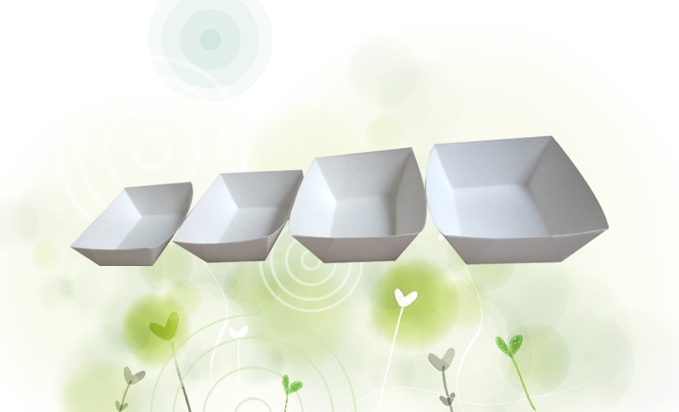 paper tray
